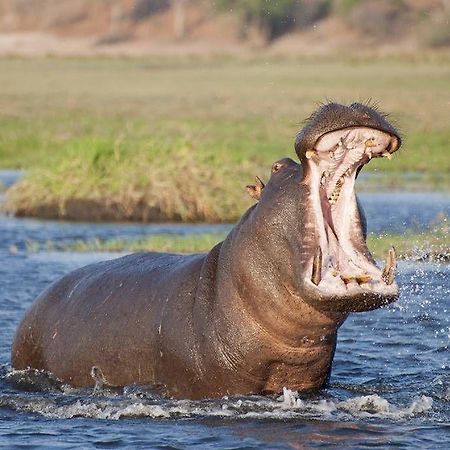 Kosi Bay Hippo Lodge & Resort KuShengesa Kültér fotó