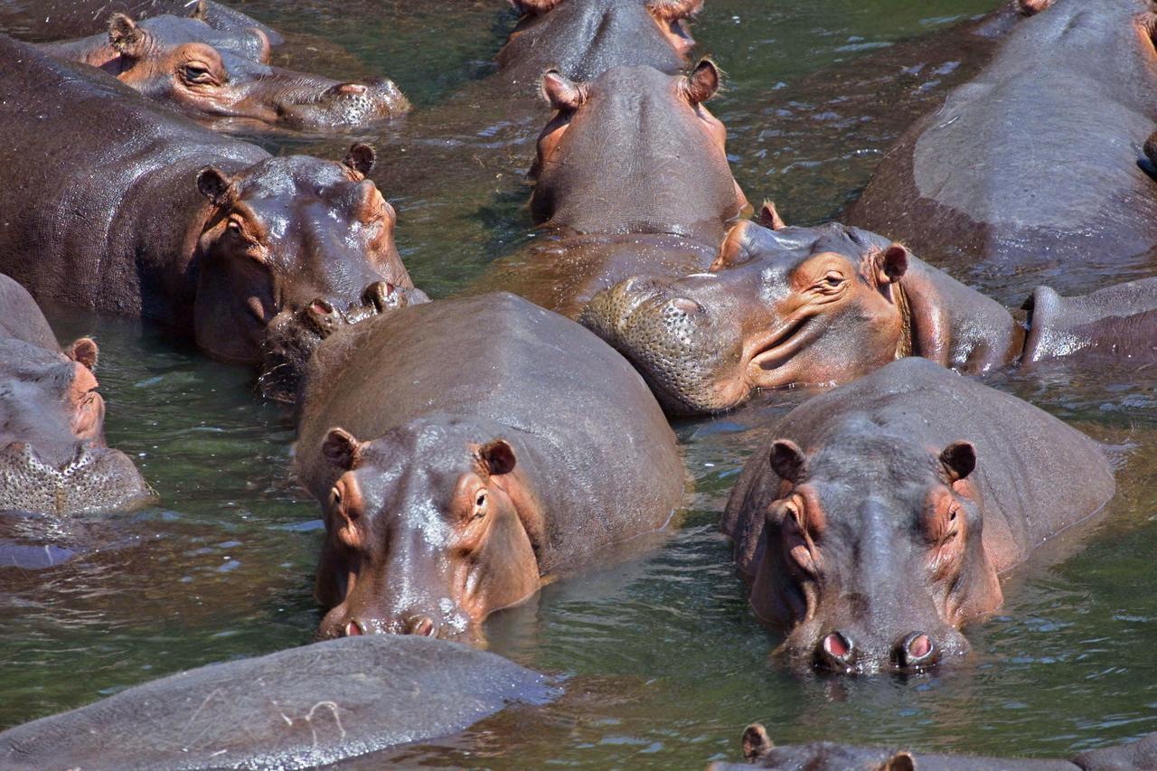 Kosi Bay Hippo Lodge & Resort KuShengesa Kültér fotó