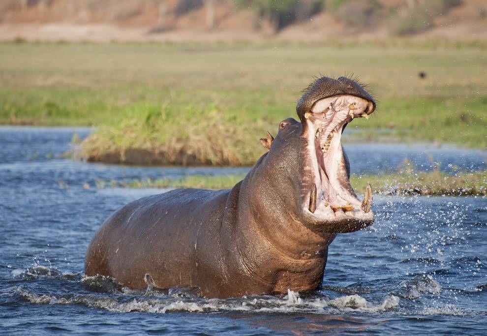 Kosi Bay Hippo Lodge & Resort KuShengesa Kültér fotó